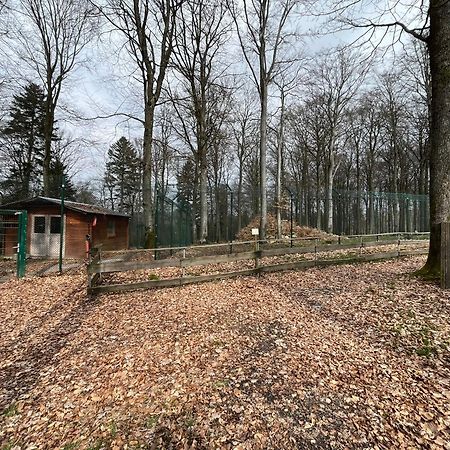 Hochwald Lodge มอร์บาค ภายนอก รูปภาพ